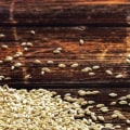 Exploring the World of Barley Malts and Grains