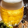 Traditional Pilsner Beer Recipe