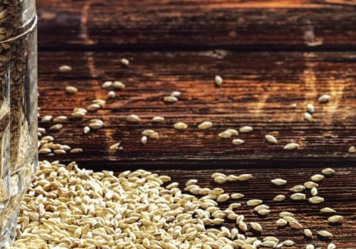 Exploring the World of Barley Malts and Grains